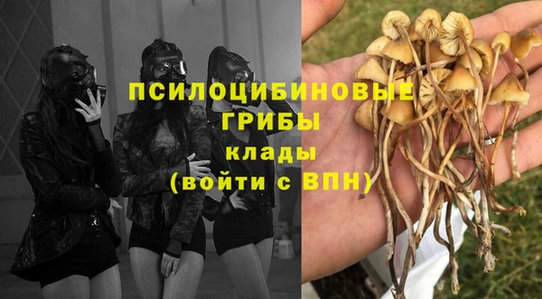 мдма Корсаков