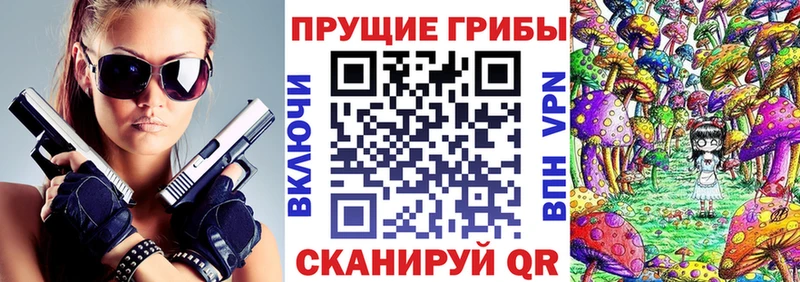 Галлюциногенные грибы Cubensis  Купить где  Вичуга 