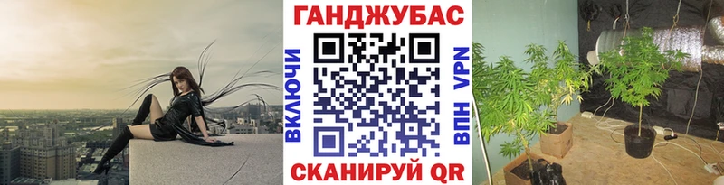 Купить  Вичуга  Бошки Шишки ГИДРОПОН 